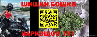 МДПВ Тара